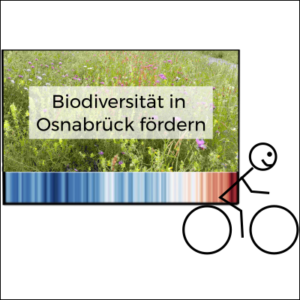 Eine radfahrende Strichfigur hat eine Tafel auf dem Rücken mit der Aufschrift Biodiverstität in Osnabrück fördern. Im Hintergrund ist eine Blühwiese, am unteren Ende der Tafel die Warming Stripes. Die Figur lächelt.