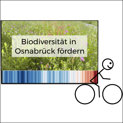 Eine radfahrende Strichfigur hat eine Tafel auf dem Rücken mit der Aufschrift Biodiverstität in Osnabrück fördern. Im Hintergrund ist eine Blühwiese, am unteren Ende der Tafel die Warming Stripes. Die Figur lächelt.